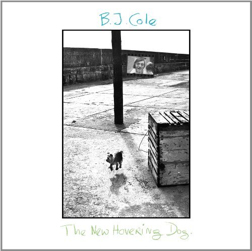 Bj Cole/New Hovering Dog